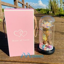 Enchanted LED Eternal Galaxy Rose in Glass Forever Flower Gift For Mother  Wife