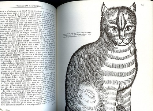 Bibliothèque illustrée du CHAT Juliette Raabe 2 Volumes - Picture 10 of 12