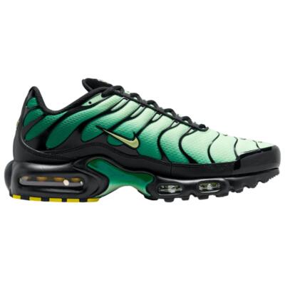 Nike Air Max Plus Vapor Green Gradient DM0032-301 Unisex | eBay