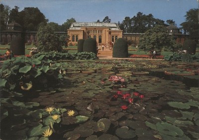 Leonhard Durr Stuttgart, Germany Wilhelma Animal & Plant Paradise, Water  Lilies | eBay