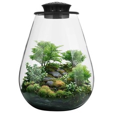 Mini Desktop Glass Plant Terrarium with Grow Light - Planter for Succulent Mo...