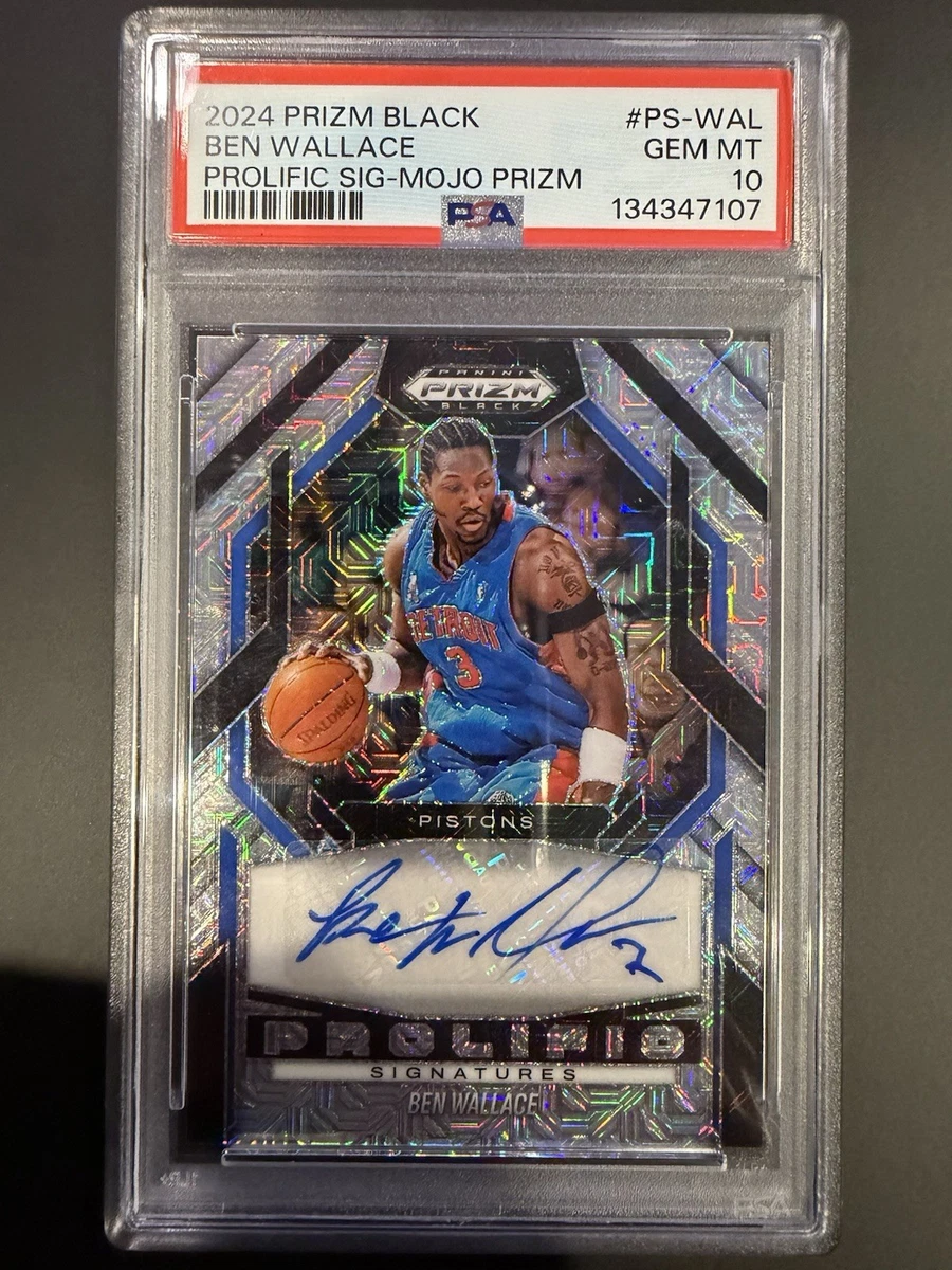 National Basketball Association (NBA) Ben Wallace Basketball