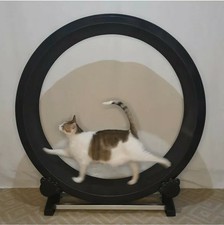 cat exercise wheel ebay