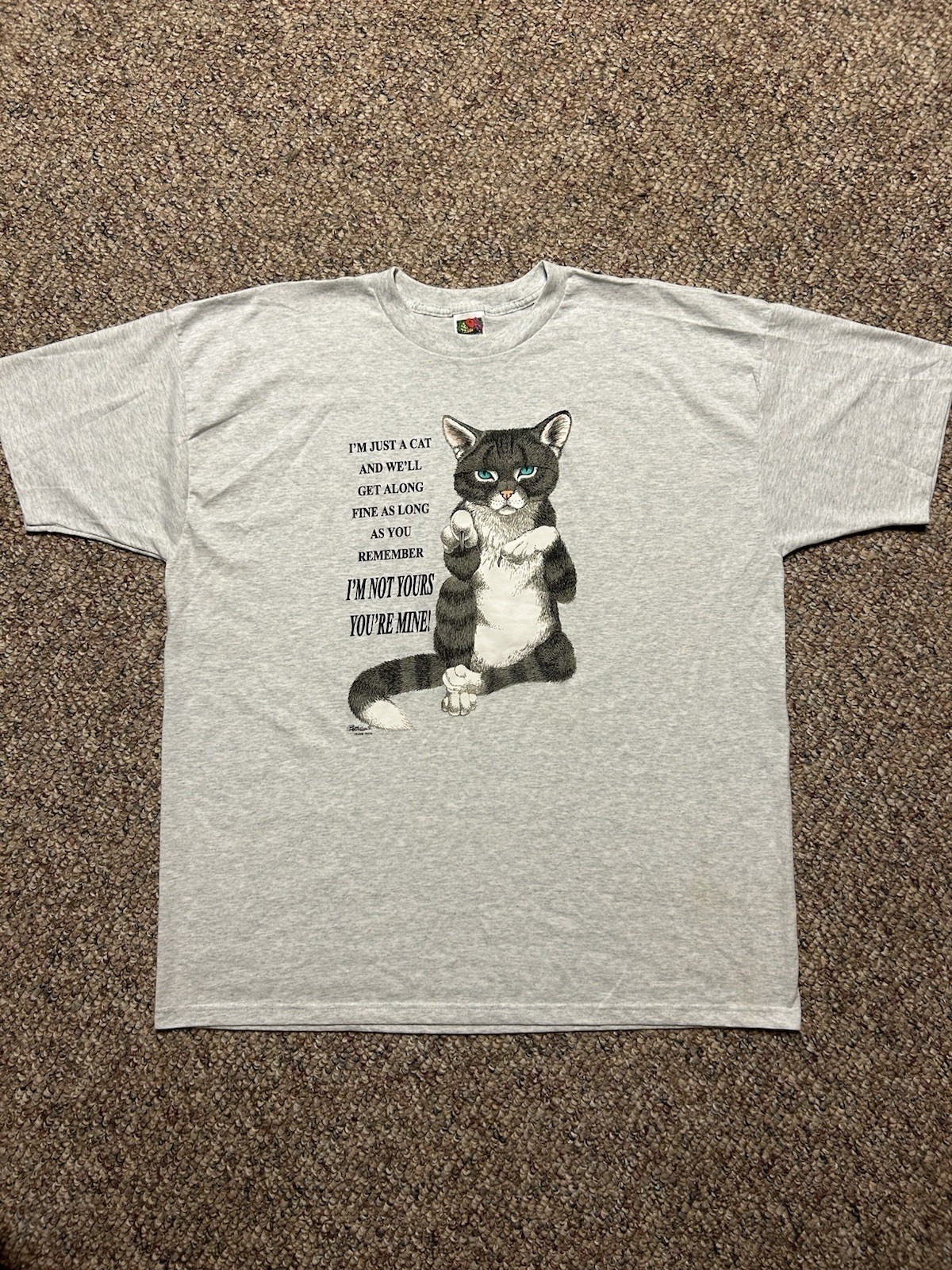 Gray adult T-shirt XXL with black and white cat graphic, funny text, and “I’m Not Yours, You’re Mine!” inside.