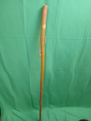 HIKING/WALKING/TREKING STICK MADE FROM NM YUCCA PLANT 51'' tall only 10.4OZ