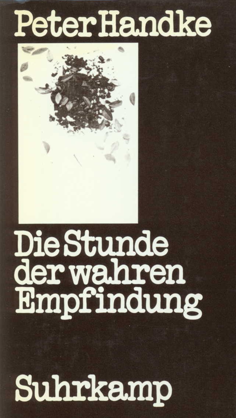 Thumbnail - Die Stunde Der Wahren Empfindung - Peter Handke - 9783518030295