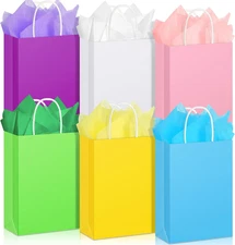 Pasimy 24 Pack Gift Bags with Tissues Paper Gift Bags with Handles Colorful Kraf