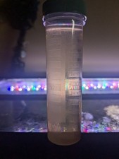 Live Vinegar Eel Starter Culture 50ml Tube Turbatrix aceti