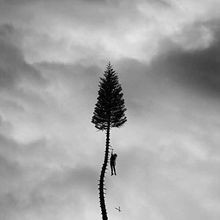 A Black Mile to the Surface von Manchester Orchestra | CD | Zustand sehr gut