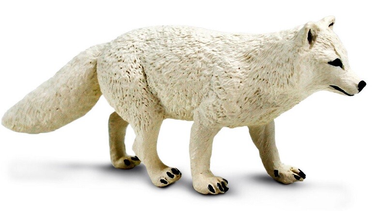 Safari Ltd 100731 Arctic Fox 10 Cm Series Wildlife
