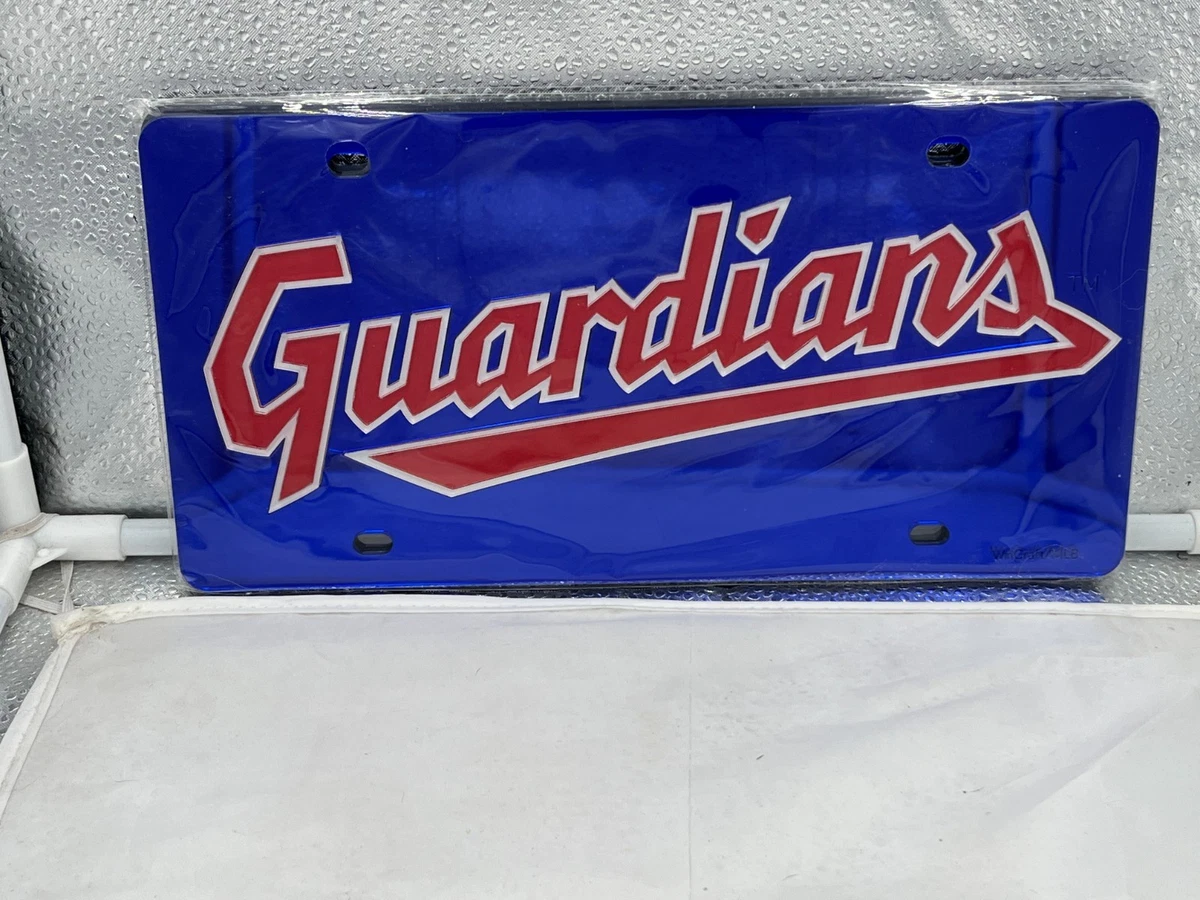 Tigers catcher Dillon Dingler takes down hometown Cleveland Guardians in Wild Ca