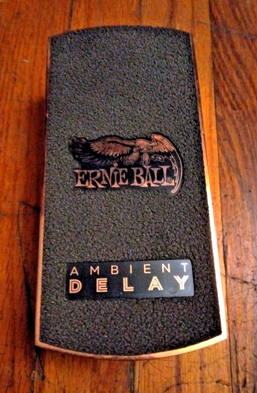 Ernie Ball Ambient Delay Pedal with Reverb Foot Expression Pedal P0-6184