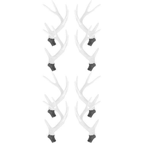 528554_5