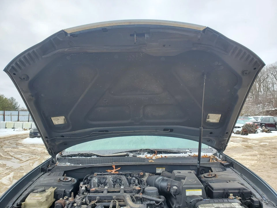 Hood (U1 aurora blue pearl)(paint peel)(rock chips) 2006-2010 Hyundai Sonata - Image 2 of 4