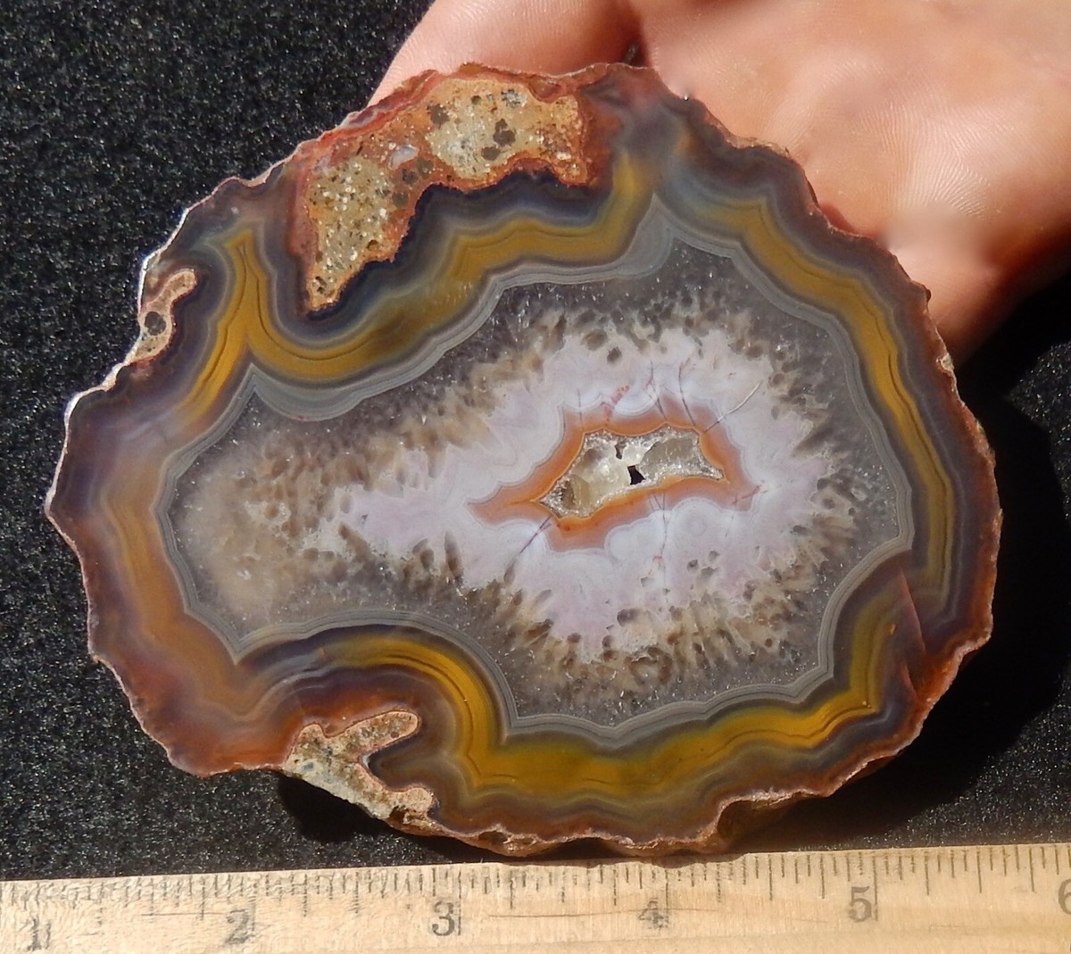 Condor Agate Polished Nodule Unique Patterns 194 Grams- 6.8 Oz