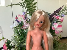 Pedigree Sindy Doll, Trendy Girl, Vintage Doll, Fashion Doll, Please Read