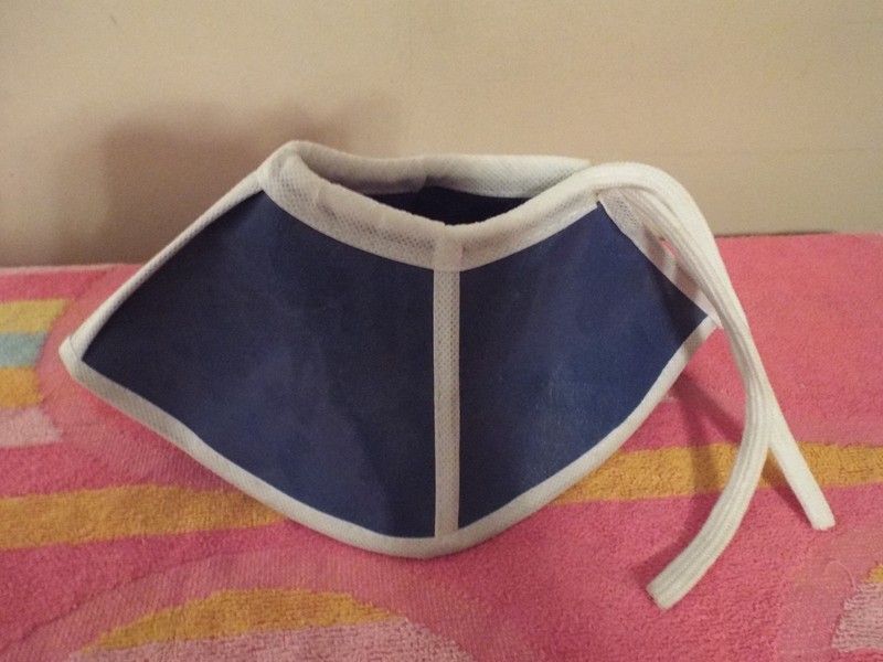 Cat cone 