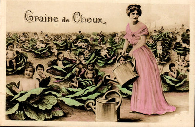 Multiple Babies - where babies come from - Vintage Postcard, Children