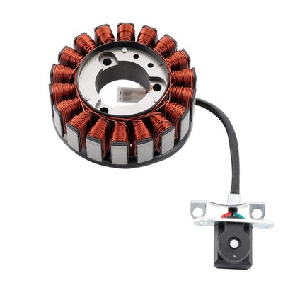 Stator Lichtmaschine für Daelim VJF 125 R Fi Roadwin S1 125 VJF 250 VL 250 EFI