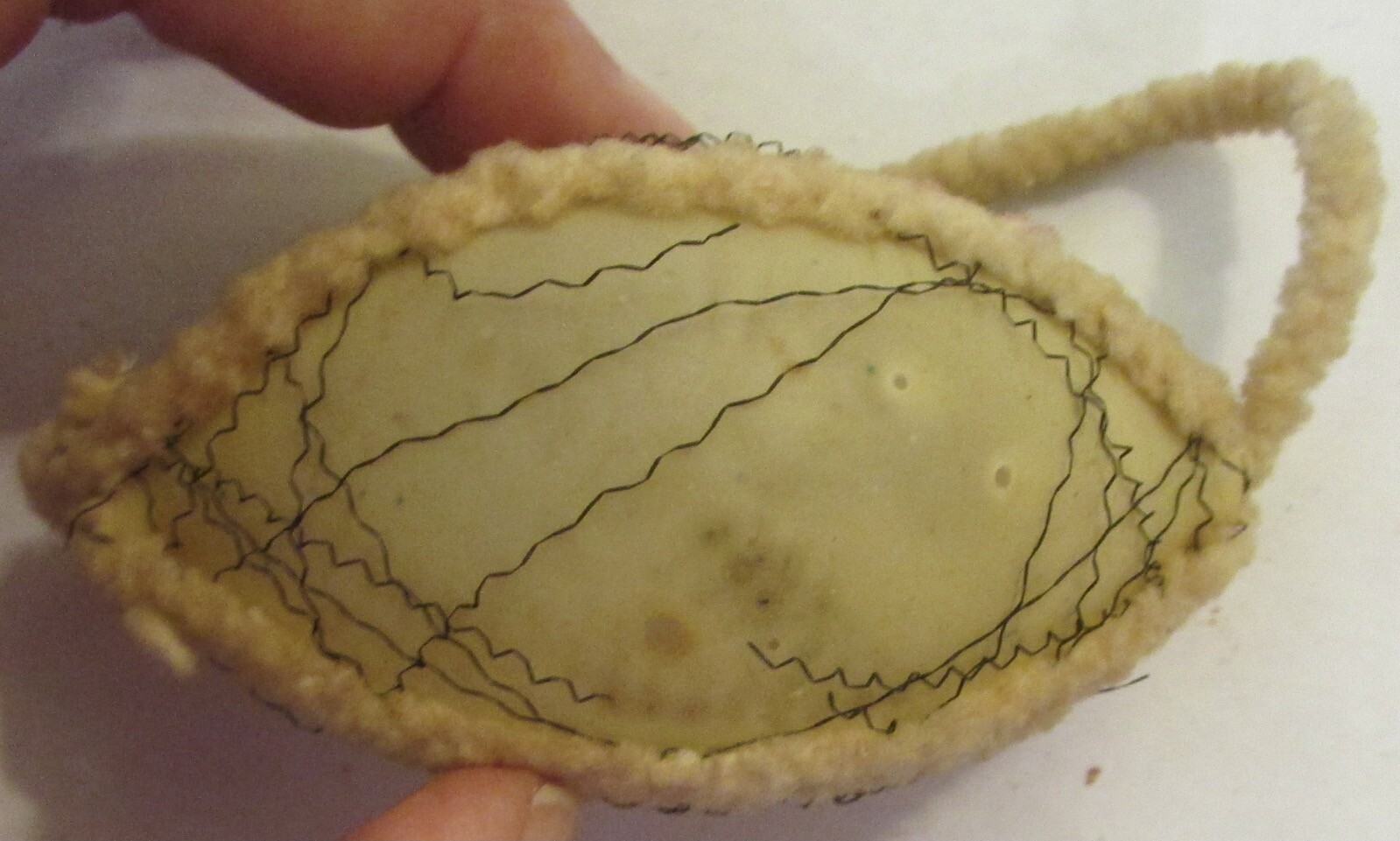 Picture 5 of 7
