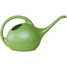 Novelty Root and Vessel  Indoor Plastic Watering Can, Green, 1/2 Gallon