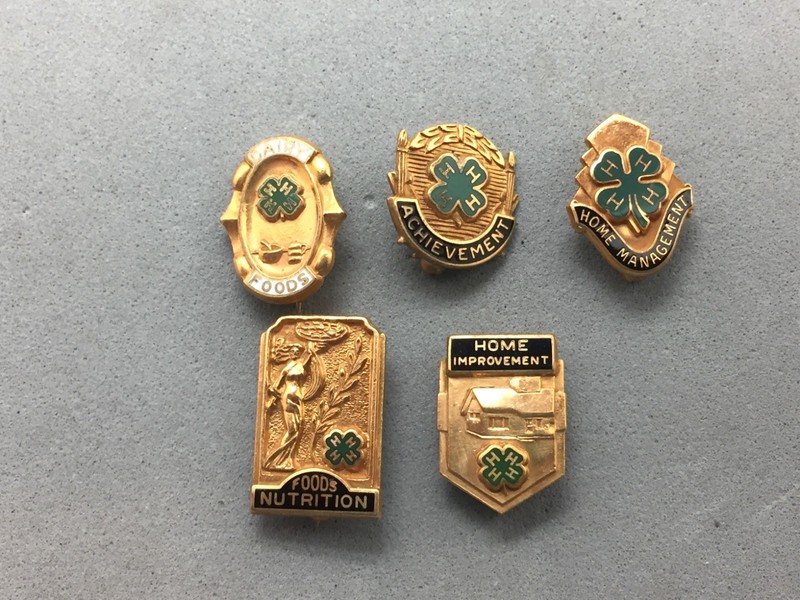 4H Pin Lot 5 10K GF Home Improvement Management Food Nutrition Dairy Achievement