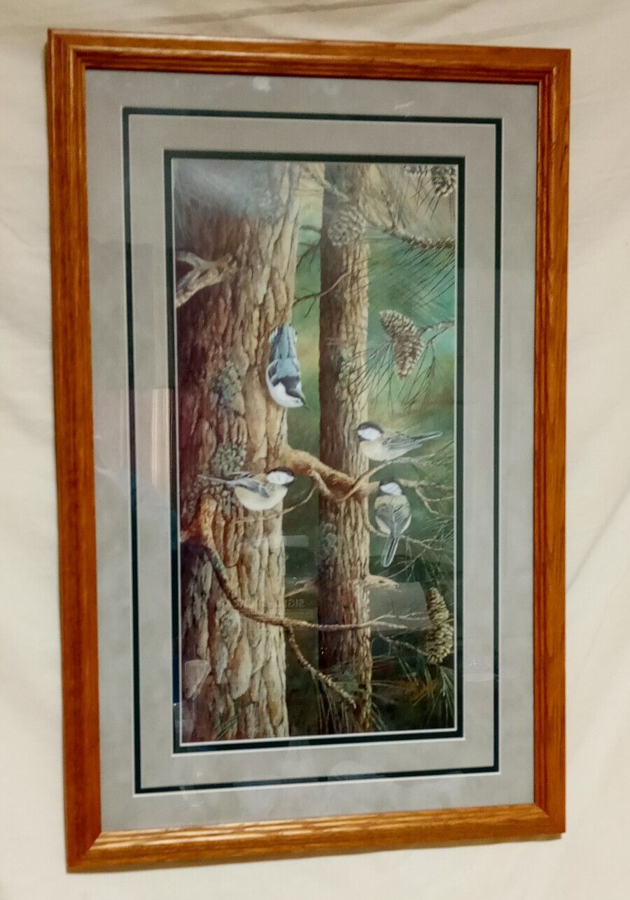 RARE 1996 JEFF RENNER ARTIST SIGNED WILDLIFE BIRD PRINT FRAMED MATTED