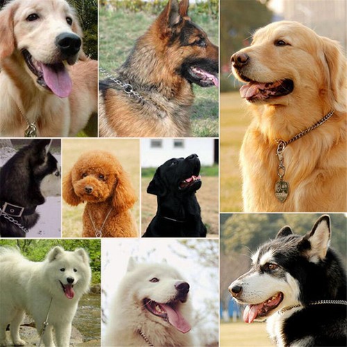 1pz Argento Choke Catena Collare Cane Gatto Pet Cucciolo Addestramento Girocollo Catena - Foto 7 di 14