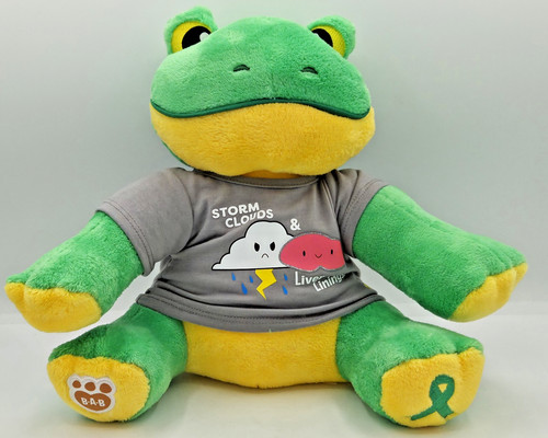Build A Bear FROG Keegan Make A Wish Liver Cancer Awareness w/ Shirt RARE