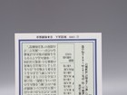 Foto 6 di 6