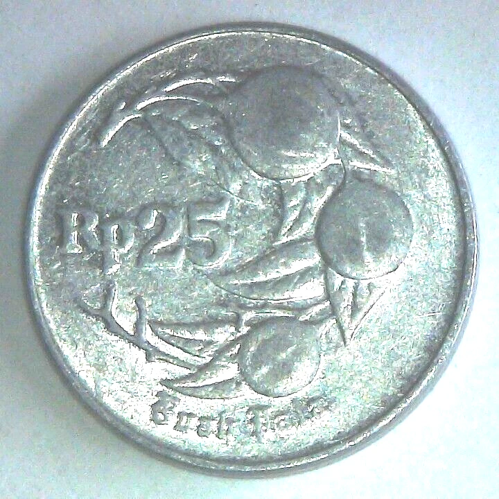 1994 Indonesia 25 Rupiah, World Coin KM#55 VF+ Nutmeg Aluminum Asian - Image 3 of 4
