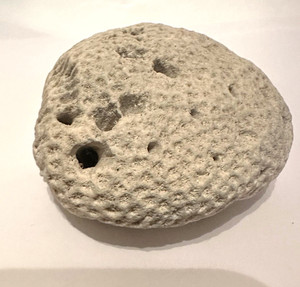 Natural Coral Fossil Ocean Fish Beach Aquarium