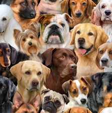 Elizabeth Studios Multi Dog Breeds Cotton Quilt Fabric by the Yard