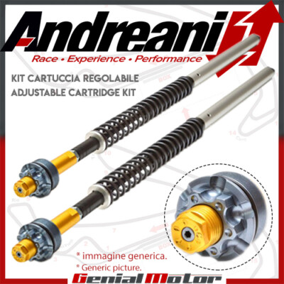 Andreani Adjustable Cartridge Kit Harley Davidson Softail custom 2021 21
