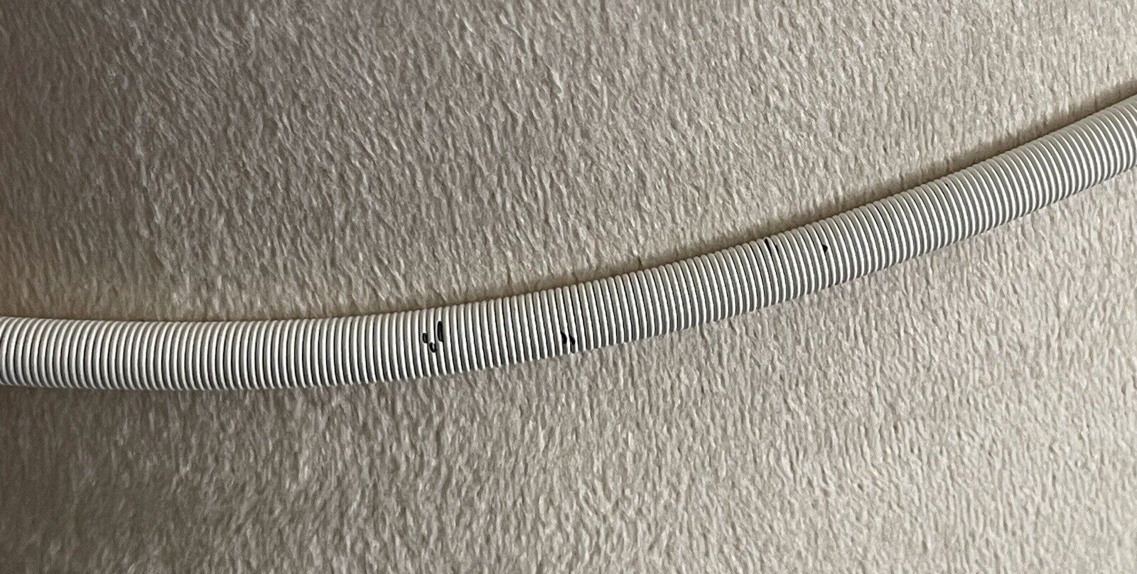 Picture 5 of 13