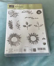 Stampin' Up "Painted Harvest" Stamp Set Preowned Flowers, Sentiments