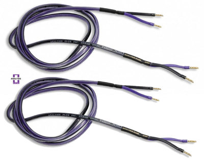 Analysis Plus Clear Oval Speaker Cable Stereo 10 ft Pair