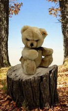 Steiff Teddy Bear KNOPF IM OHR plush W/all Tags Made In Germany