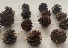 Natural Pinecone Christmas Tree Ornament Set of 15