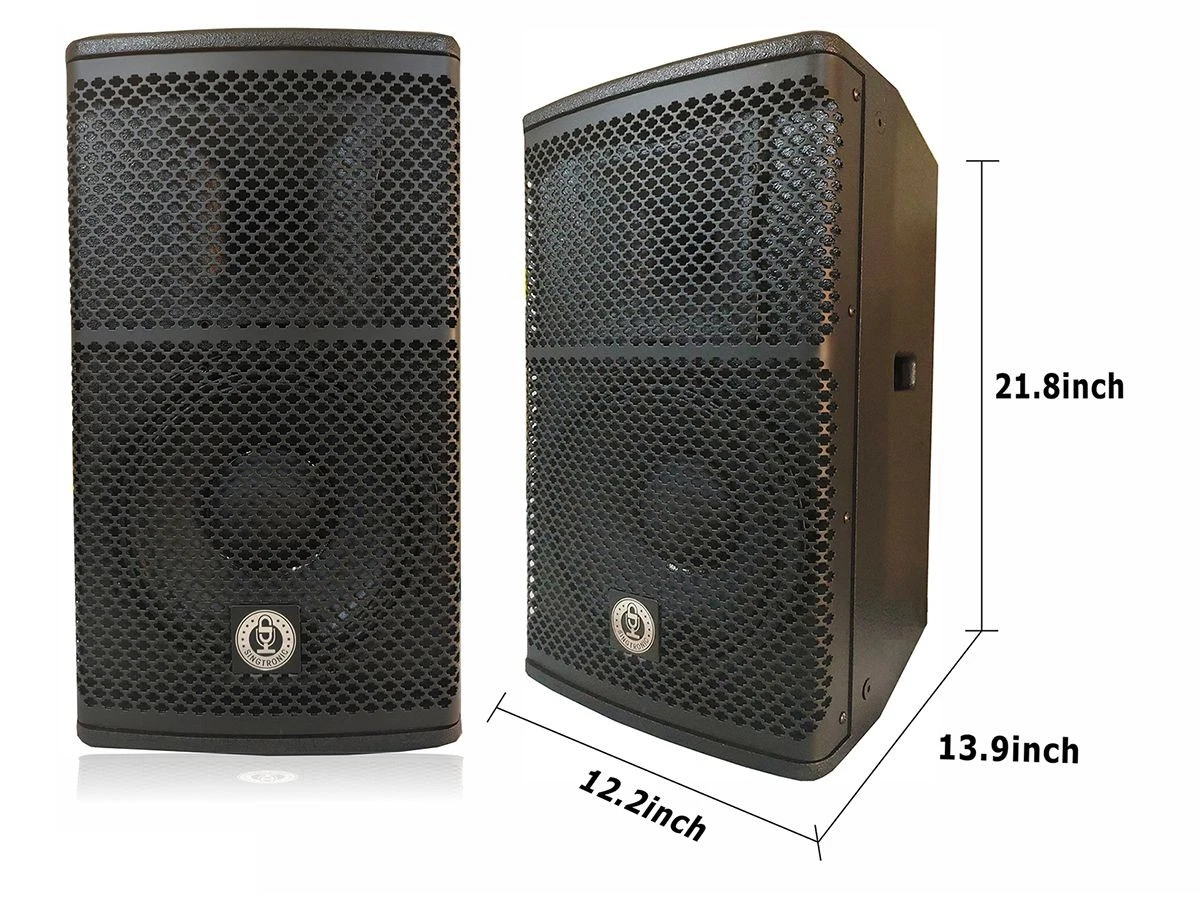 Singtronic KS-1000ProW Professional 2000W Vocalist Karaoke Speaker (Pair) - Thumbnail 4