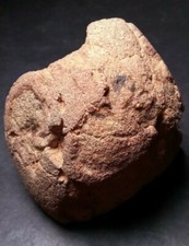 Prehistoric Paleo-American rock art sculpture multi tool fossilized egg.