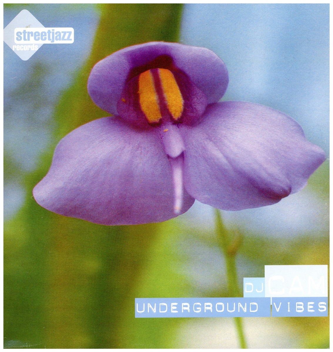 DJ CAM UNDERGROUND VIBES レコード 【公式通販】