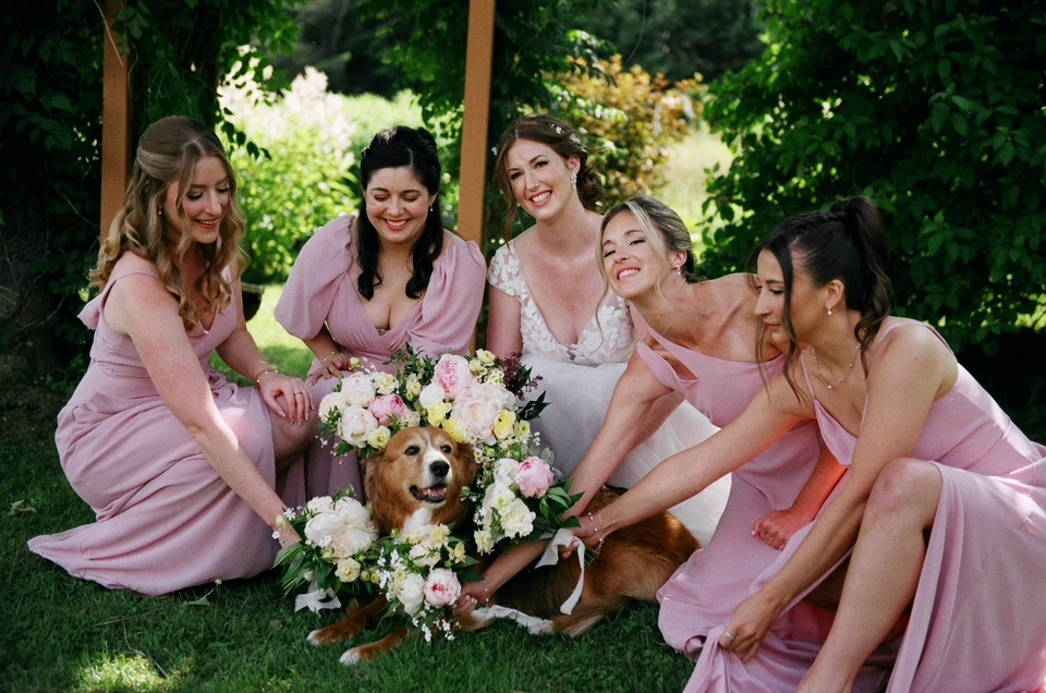 24 rollos de película Fuji 200C 35mm 2022, almacenada en frío y sellada, hecha en Japón Foto 4 de 4