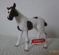 Pinto Fohlen Neu Schleich Tiere Edeka WWF Aktion 2025 Horse Club mit Fahne Pinto