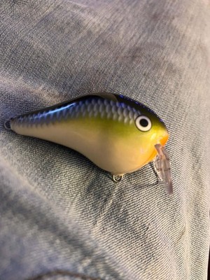 DISCONTINUED RAPALA DT FAT 1 BALSA WAKE BAIT IN Color SHASTA