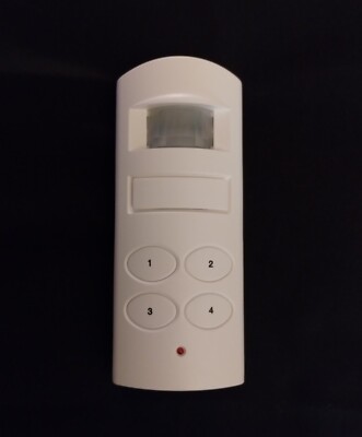 Motion Detected Alarm 