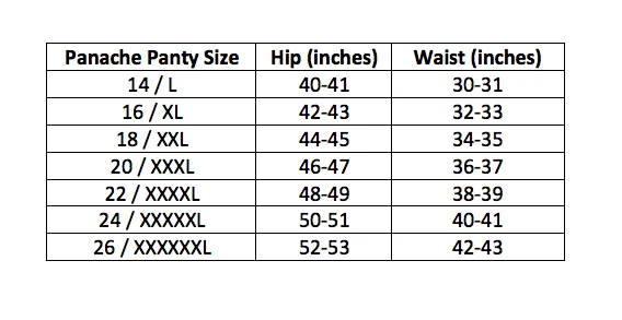 Calcinha Panache Sculptresse Plus Size Feminina Pura Cueca Completa - Imagem 4 de 4