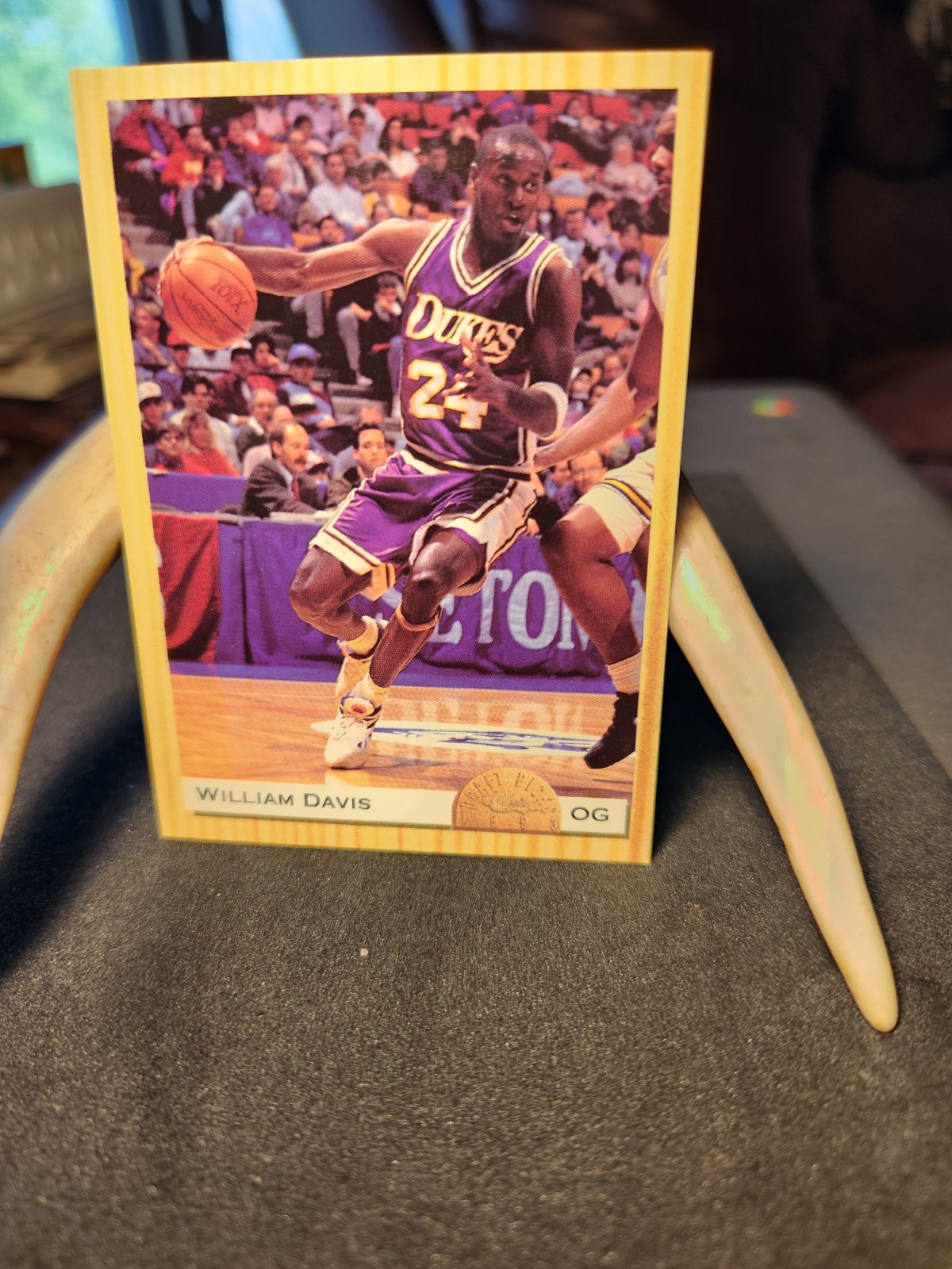 1993-94 Classic Draft Picks - William Davis Dukes #24