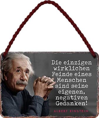 Blechschild Albert Einstein Spruch  Die einzigen wirklichen Feinde  18x12cm