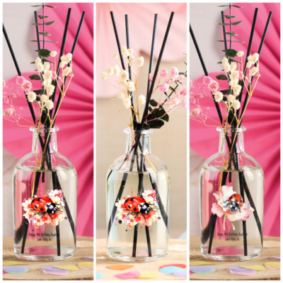 Personalisierter Marienkäfer Schilf Diffusor Geschenk für jeden Anlass RD-28